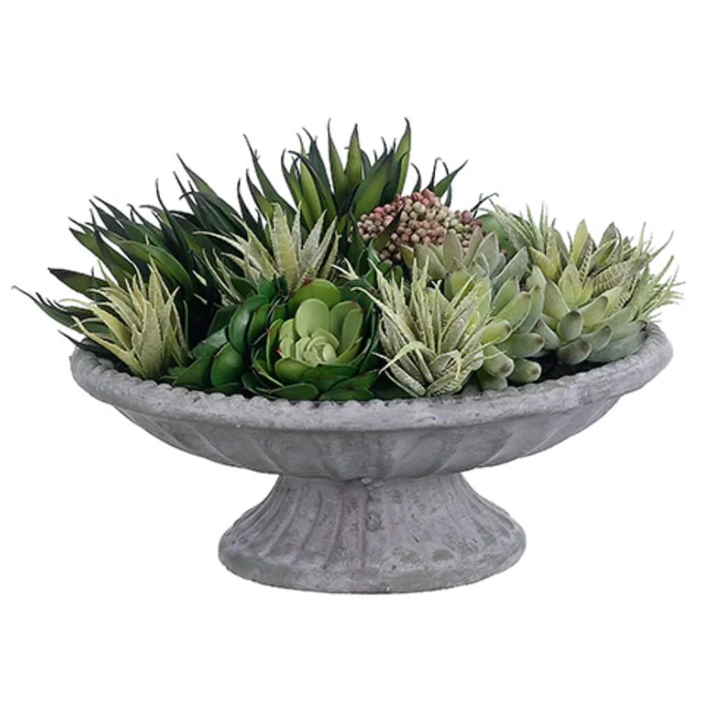 9inH x 15inW x 15inL ECHEVERIA/AGAVE