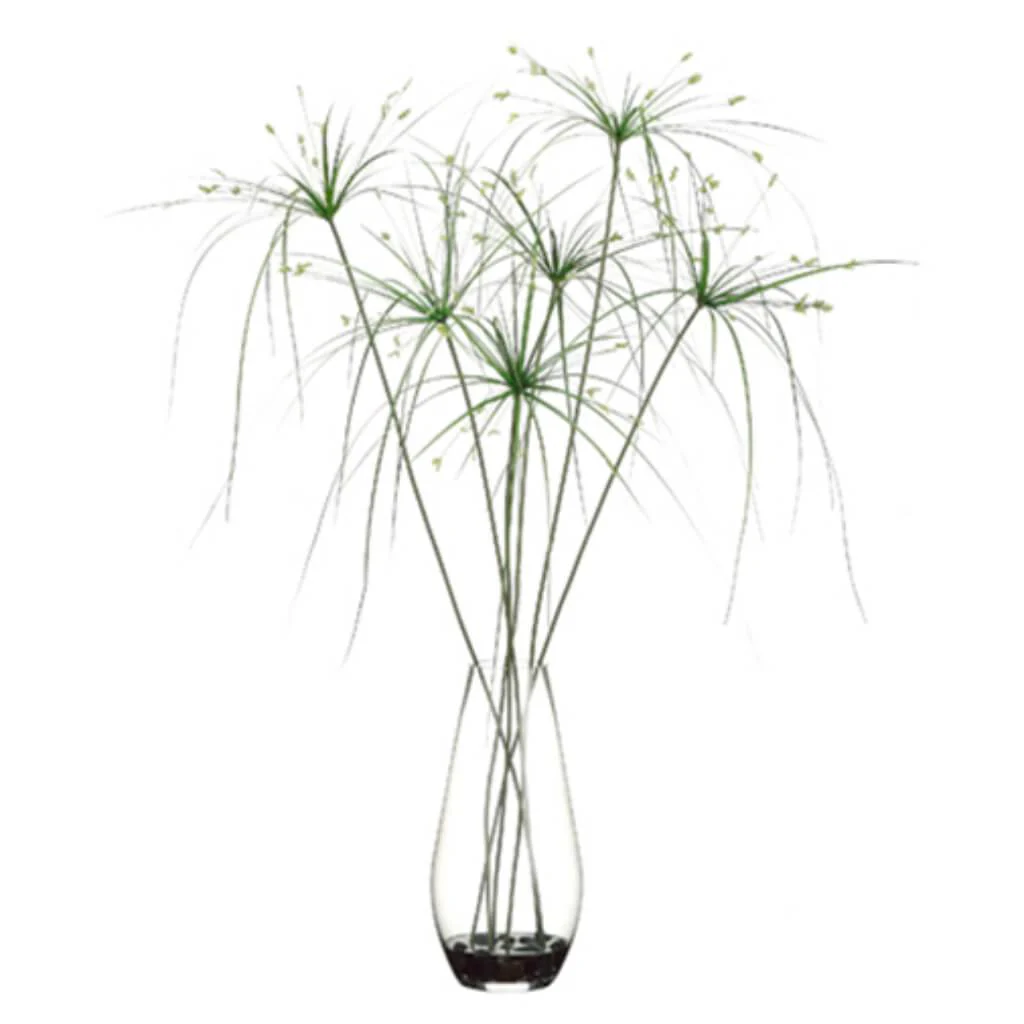 40inH x 33inW x 33inL PAPYRUS GRASS GR
