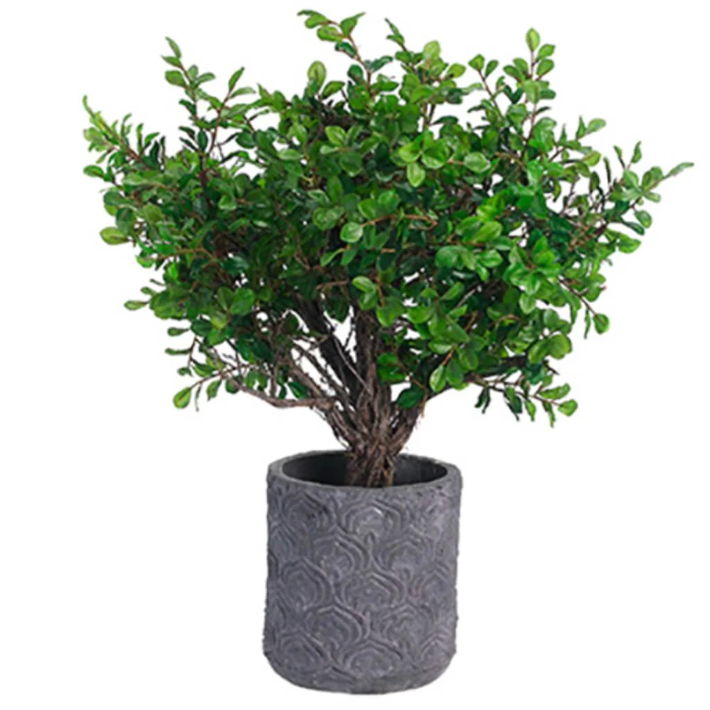 Button Leaf Tree 21inH x 15inW x 17inL