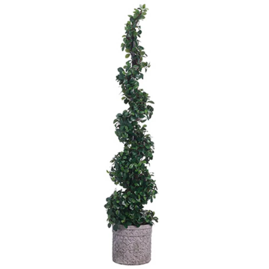 Citrus Leaf Spiral Topiary in Terra Cotta Planter Green, 66in