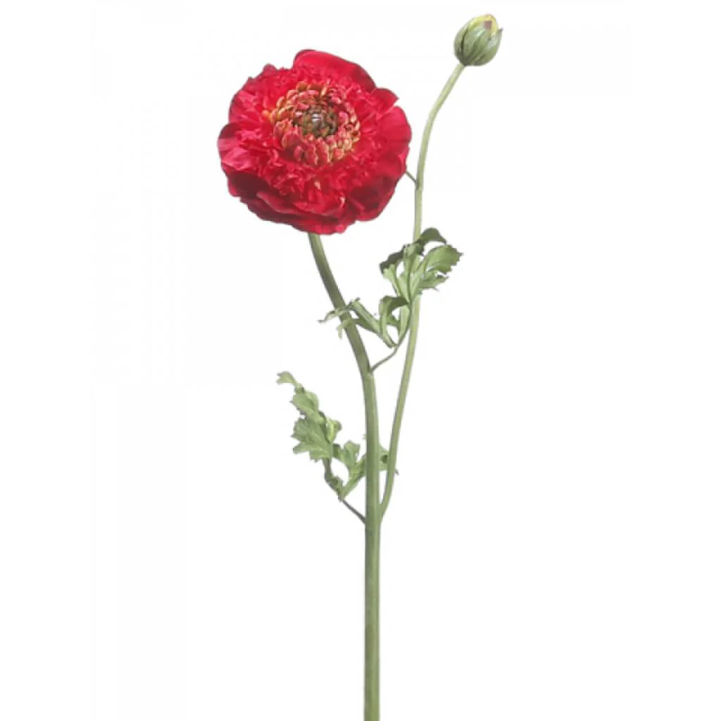 Ranunculus Spray 21in  Red
