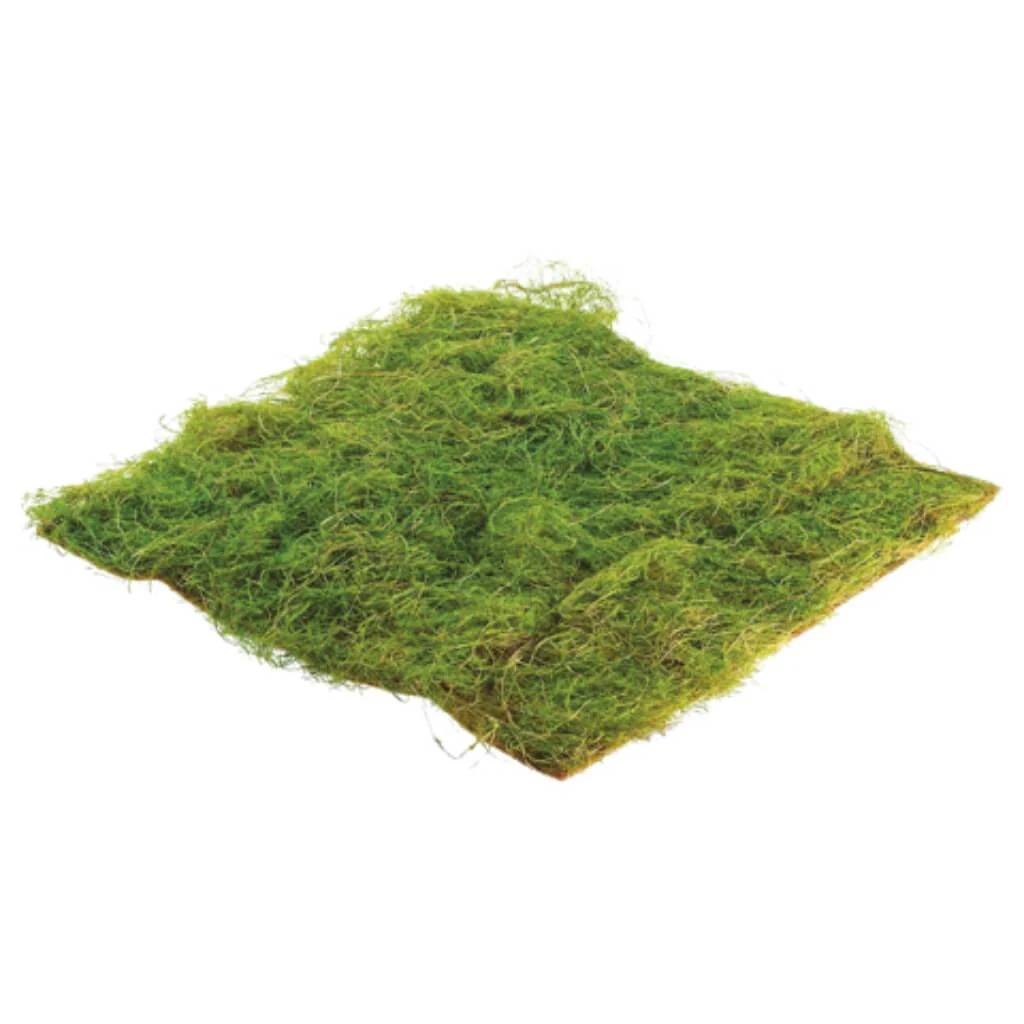 Square Water Sphagnum Moss Sheet 14inW x 14inL Green