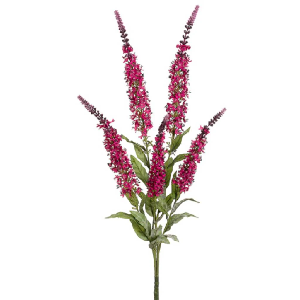 Buddleia Bush 28in x5  Beauty