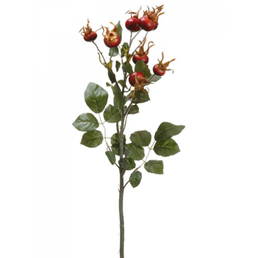 Rose Hip Spray x3  23in  Burgundy