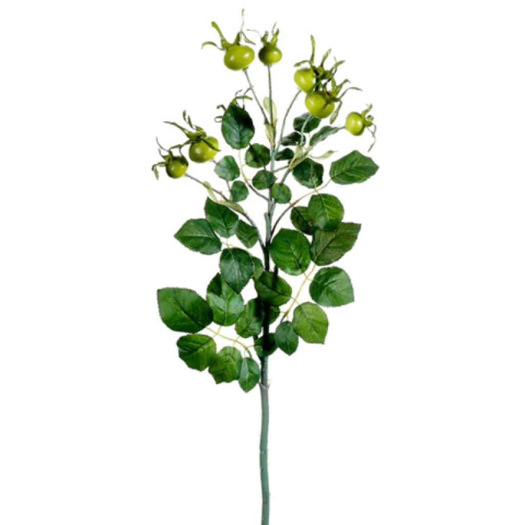 Rose Hip Spray x3 23"  Green