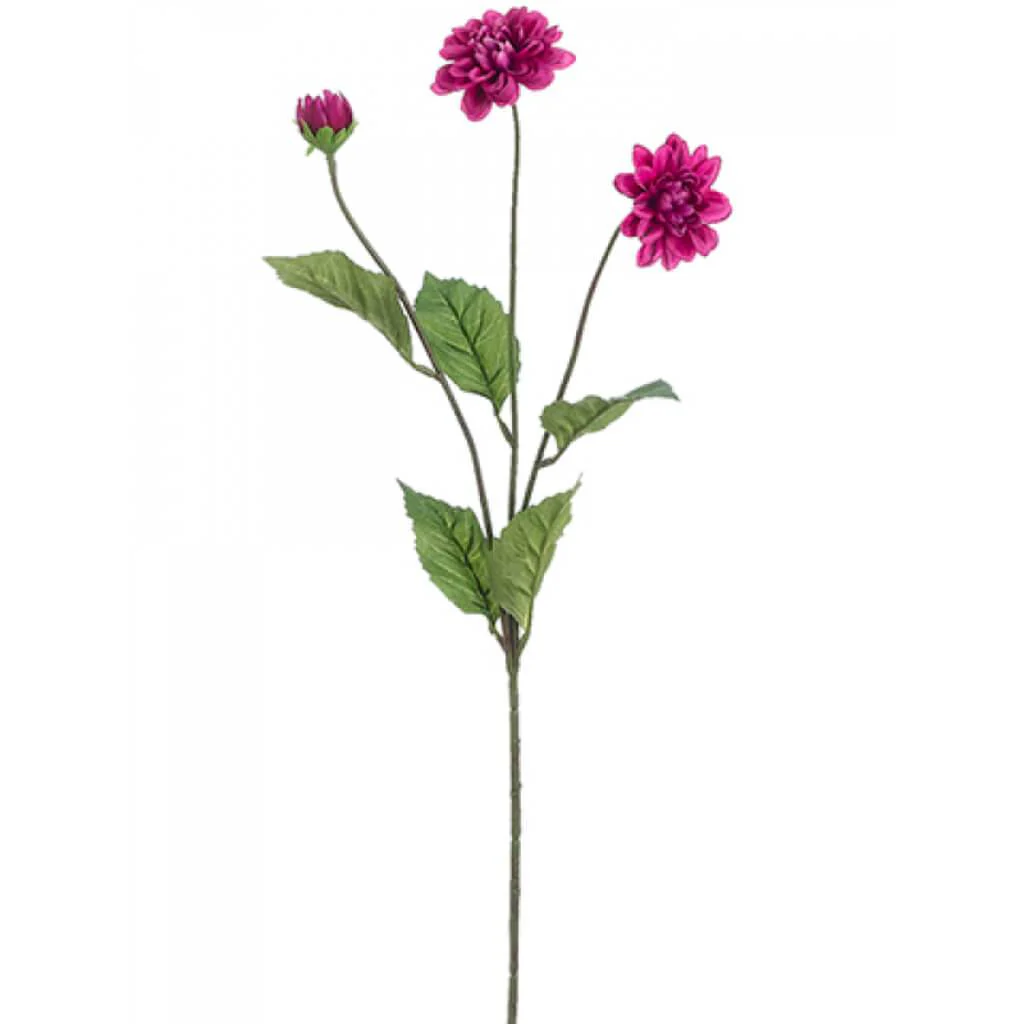 DAHLIA SPRAY 27" BOYSENBERRY