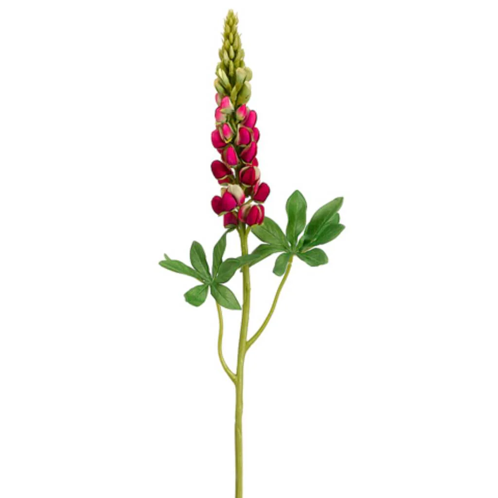 Lupinus Spray Water-Resistant Stem 33in Beauty Green