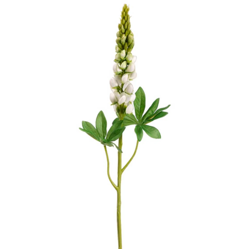 Lupinus Spray with Water-Resistant Stem 33in  Cream Green