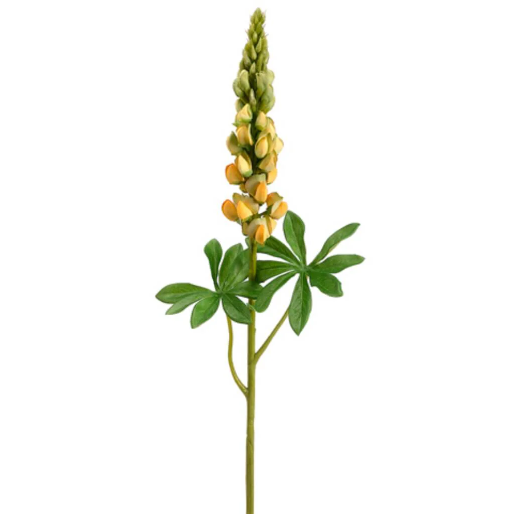 LUPINUS SPRAY 33in  Yellow Green
