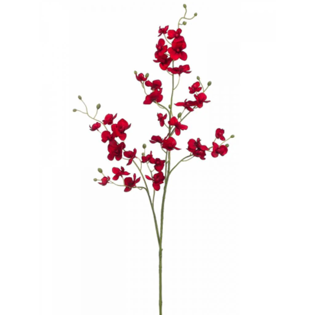 Phalaenopsis Spray 39in Red