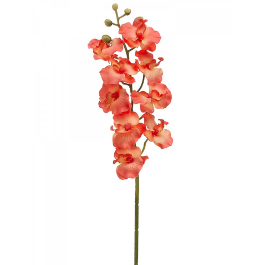 Phalaenopsis Spray 24in Peach Salmon