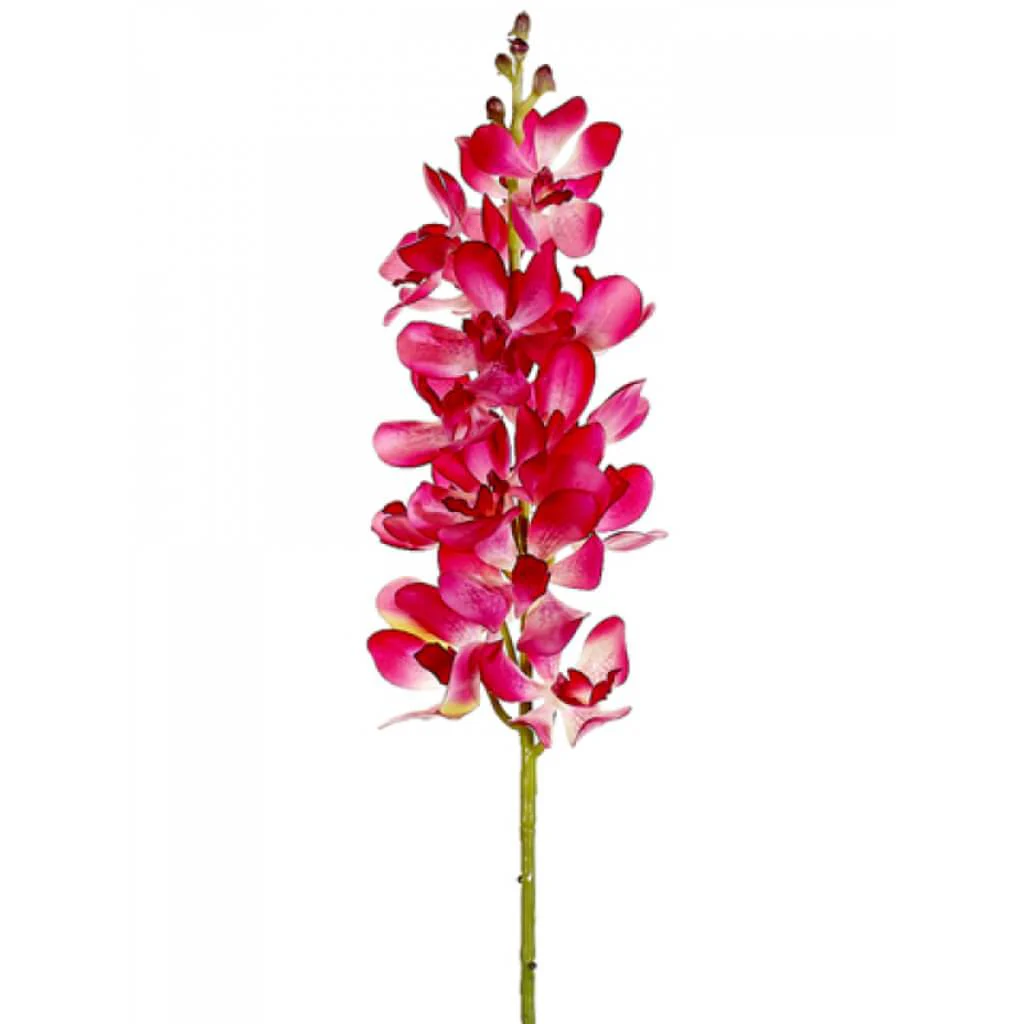 Vanda Orchid Spray 28in Beauty