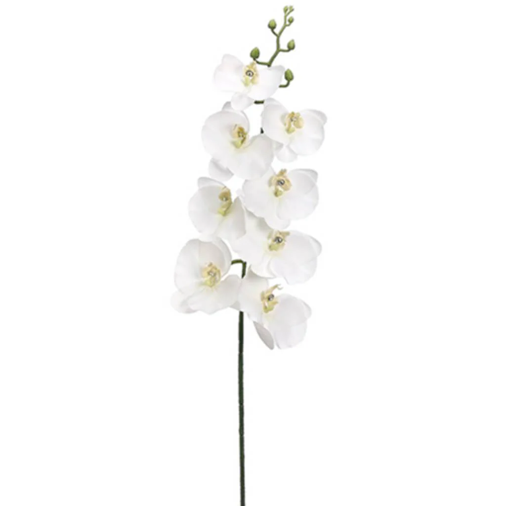 Phalaenopsis Orchid with Rhinestone Spray 32in White