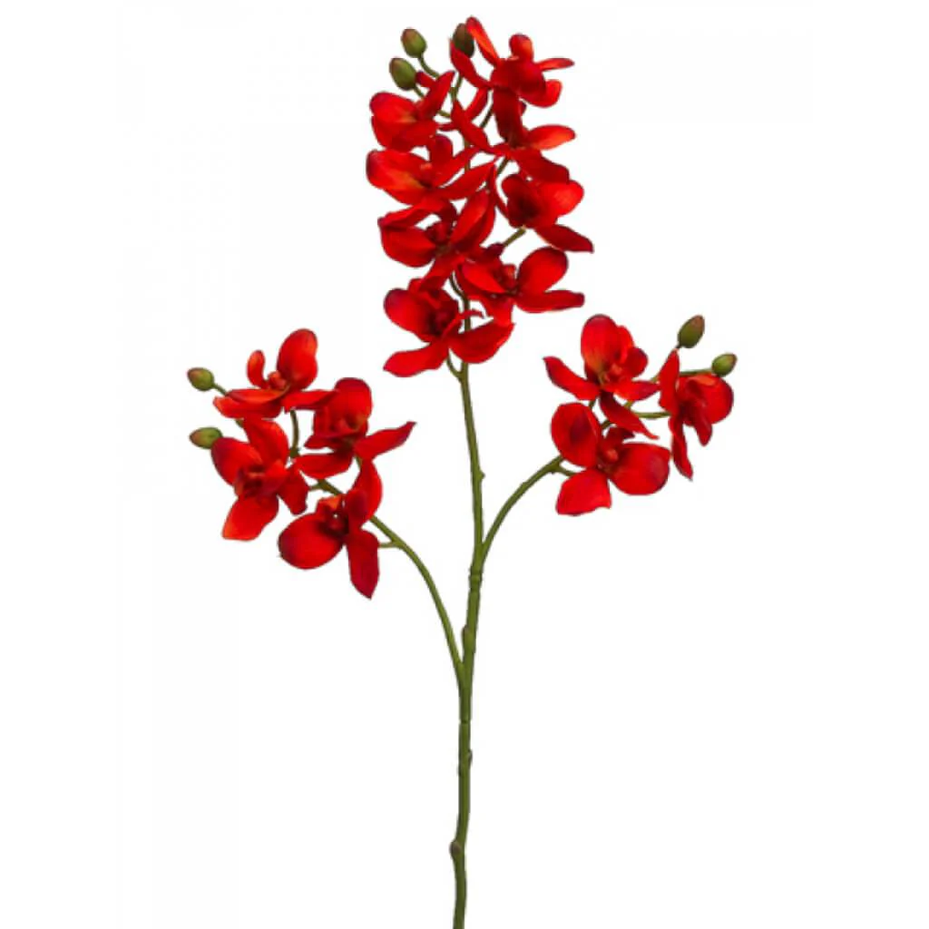 Phalaenopsis Orchid Spray 30in Flame