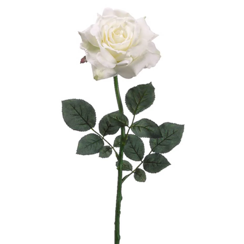 DIANA ROSE SPRAY 26in WHITE