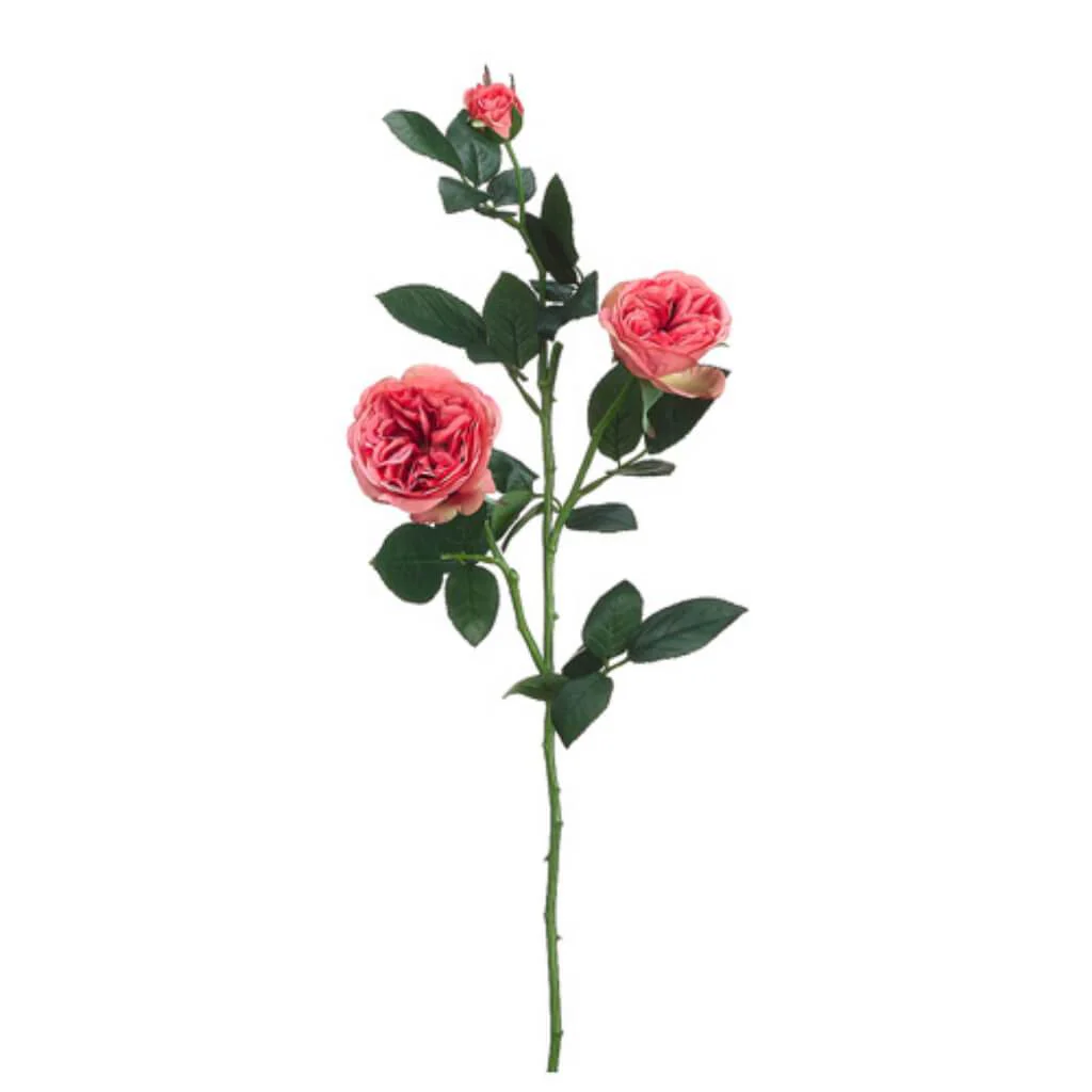 GARDEN ROSE SPRAY 29in ROSE