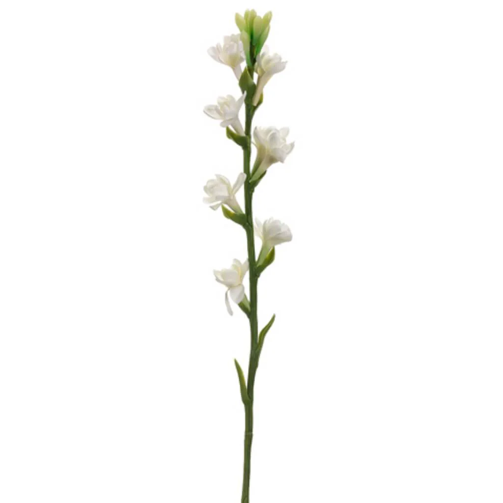 Tuberose Spray 33" Cream