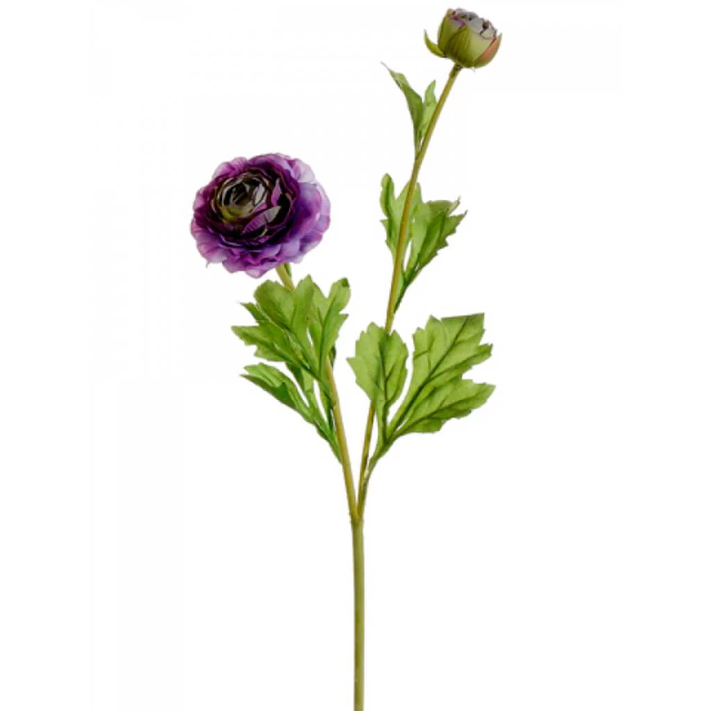 Ranunculus Spray 25.5"  Amethyst