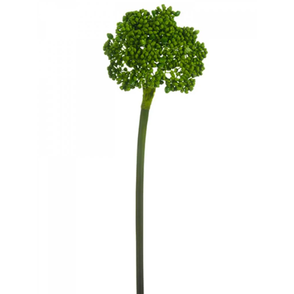 Sedum Spray 19in Green
