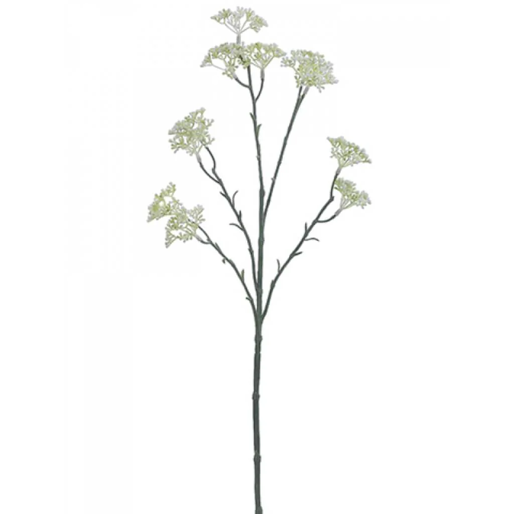 SEDUM SPRAY 25" GREEN CREAM