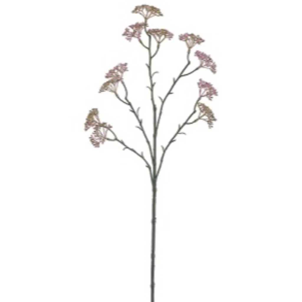SEDUM SPRAY 25" MAUVE GREEN