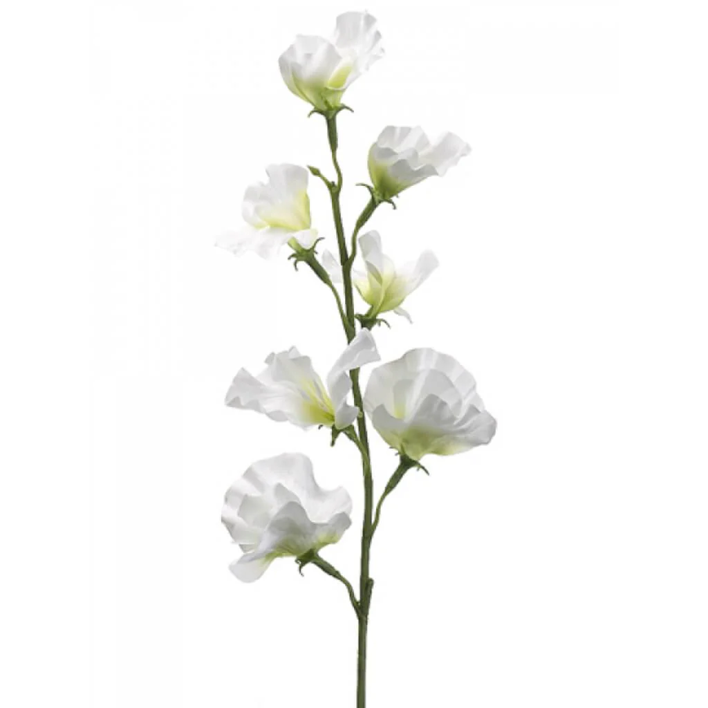 Sweet Pea Spray 22" Cream