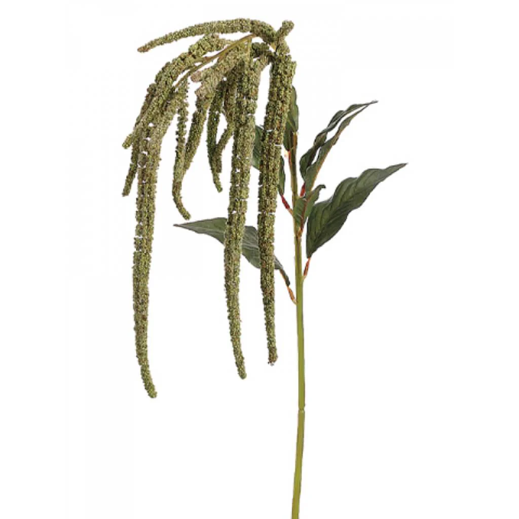 Amaranthus Spray 44" Green