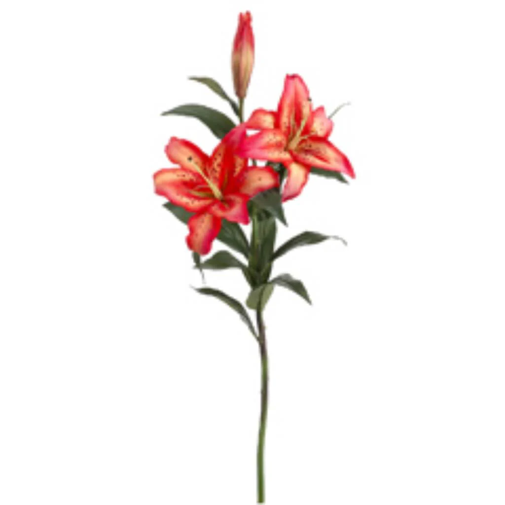 35in RT CASABLANCA LILY SP. FL