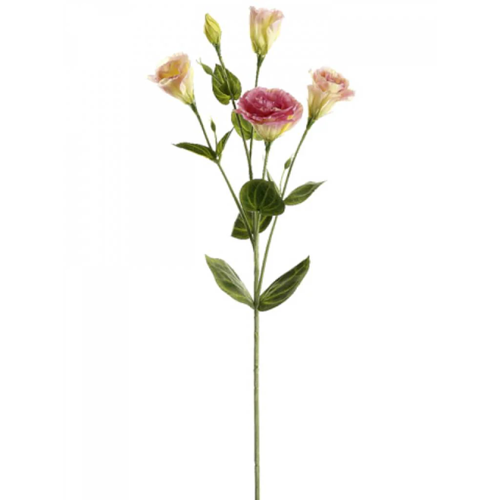 Lisianthus Spray 30" Two Tone Pink