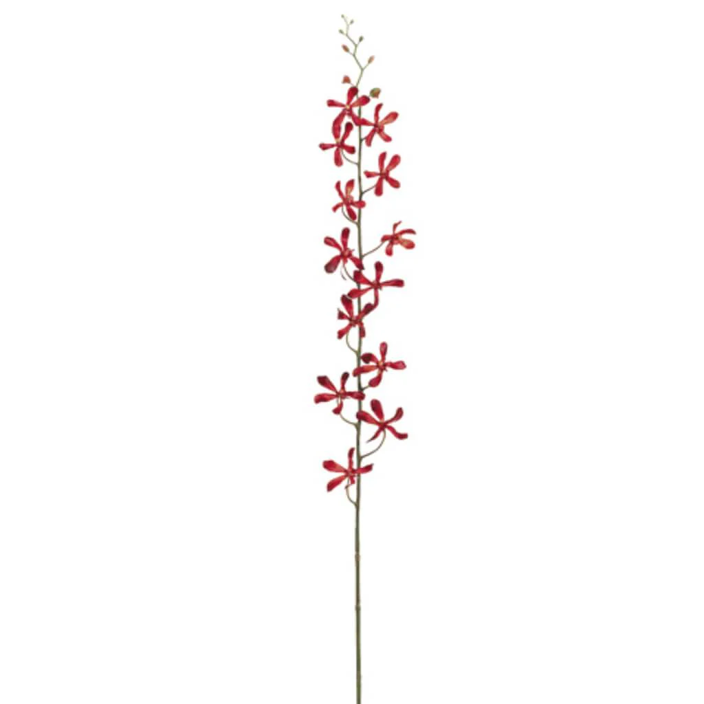 Vanda Orchid Spray 42" Red