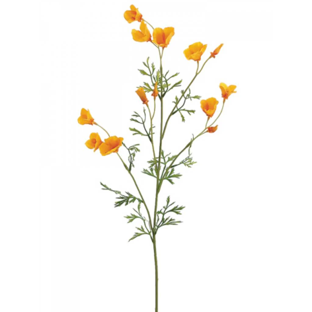 Mini California Poppy Spray 26" Yellow