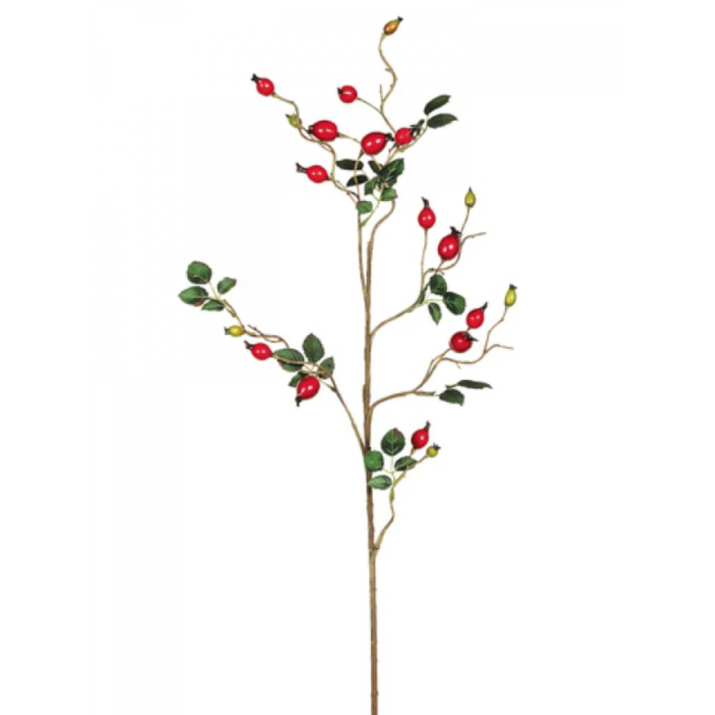 ROSEHIP SPRAY 32" RED