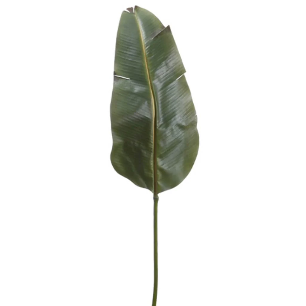 BANANA LEAF SPRAY 46in GREEN