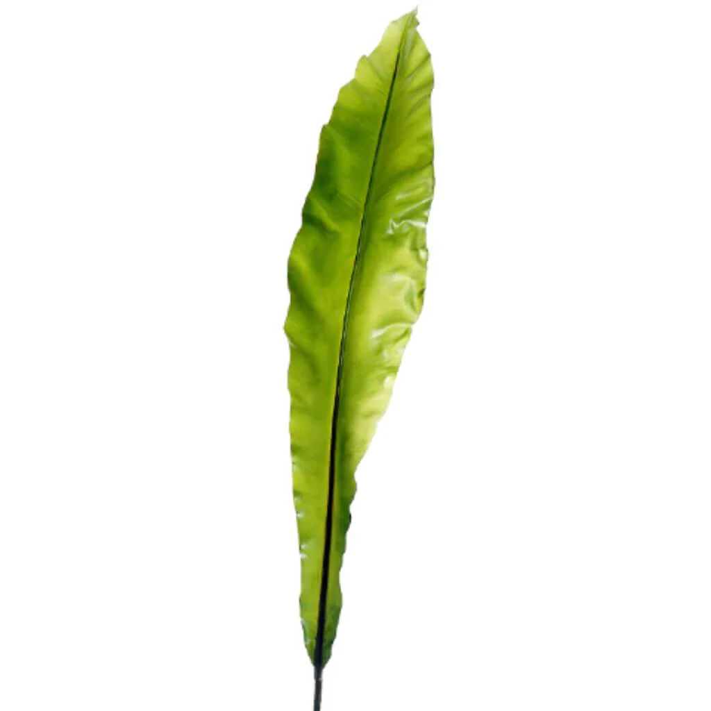 Medium Apista Leaf Spray 28in Green