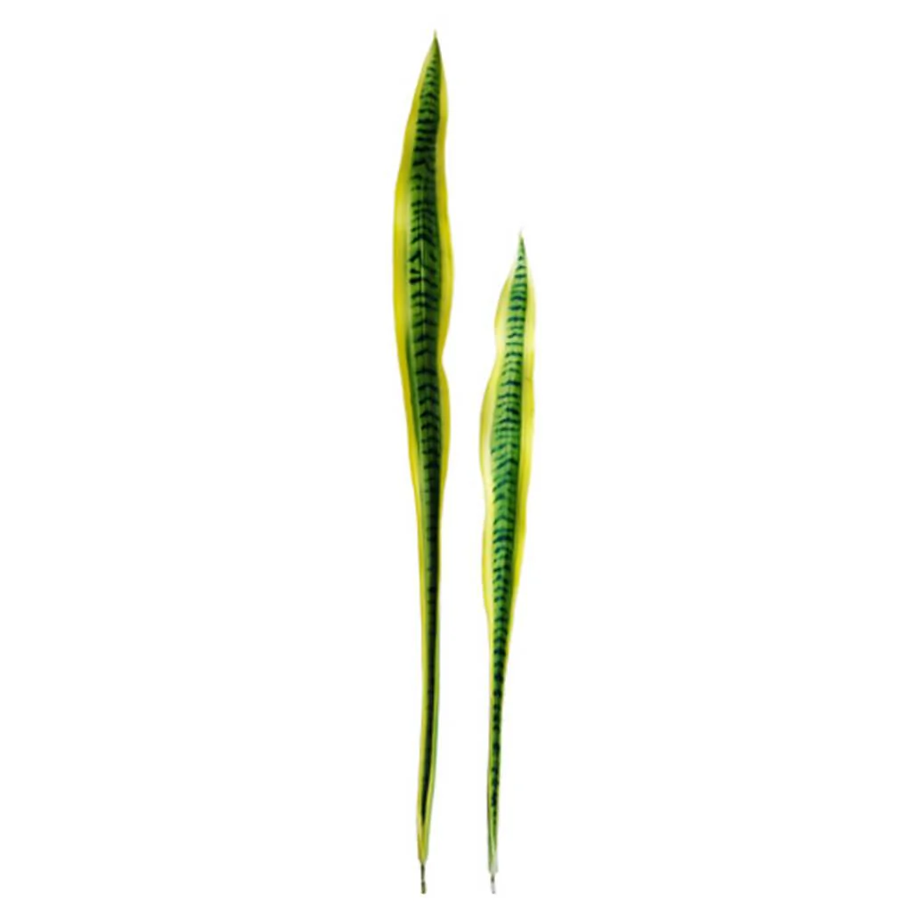 Sansevieria Leaf 35.5in-44in