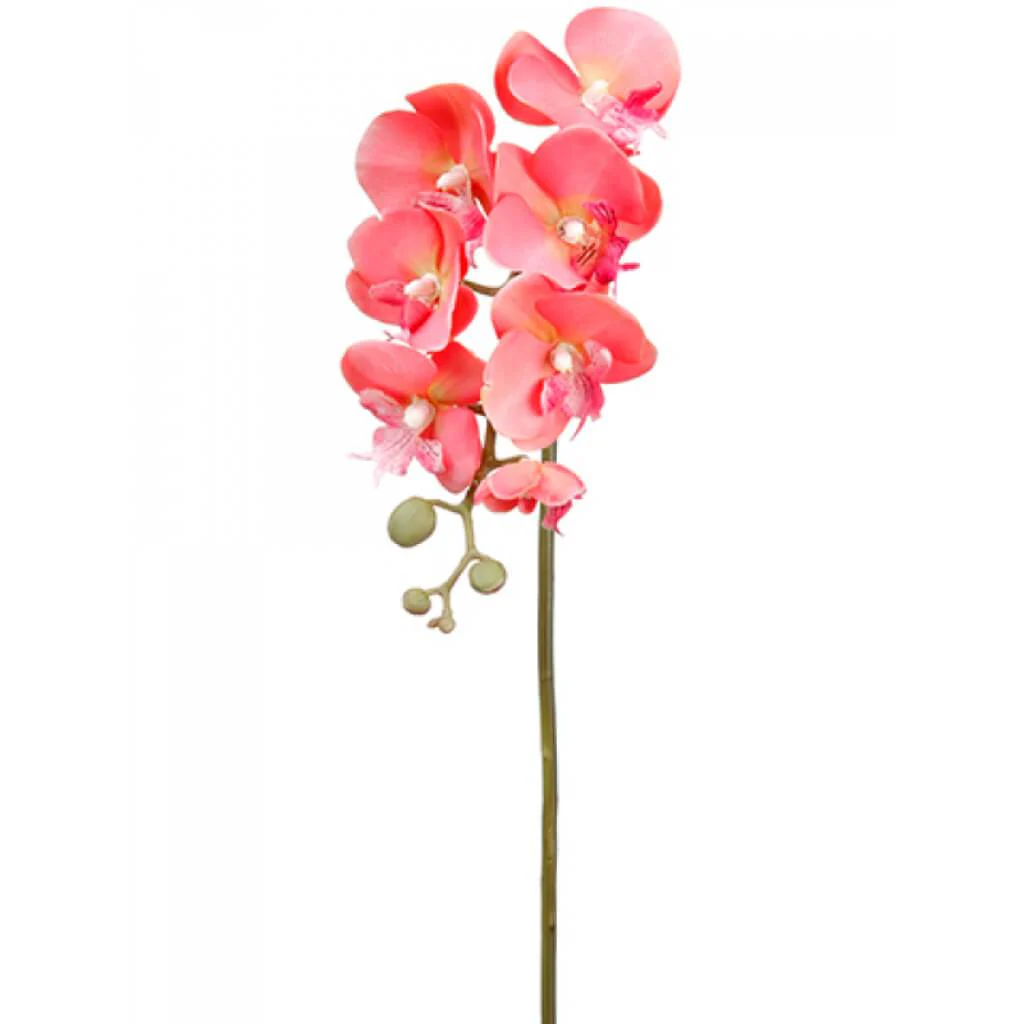 Phalaenopsis Spray 18in Coral