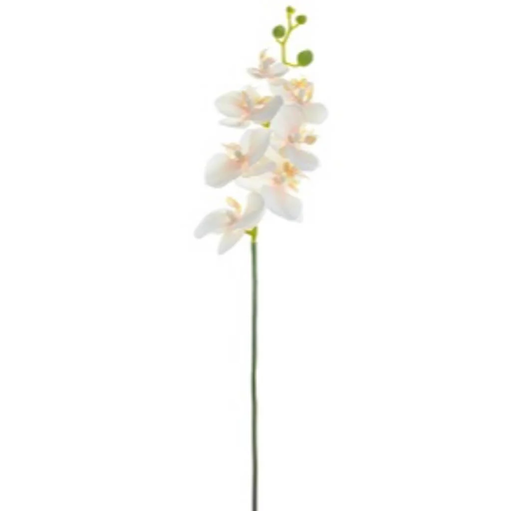 Phalaenopsis Spray 18in Cream