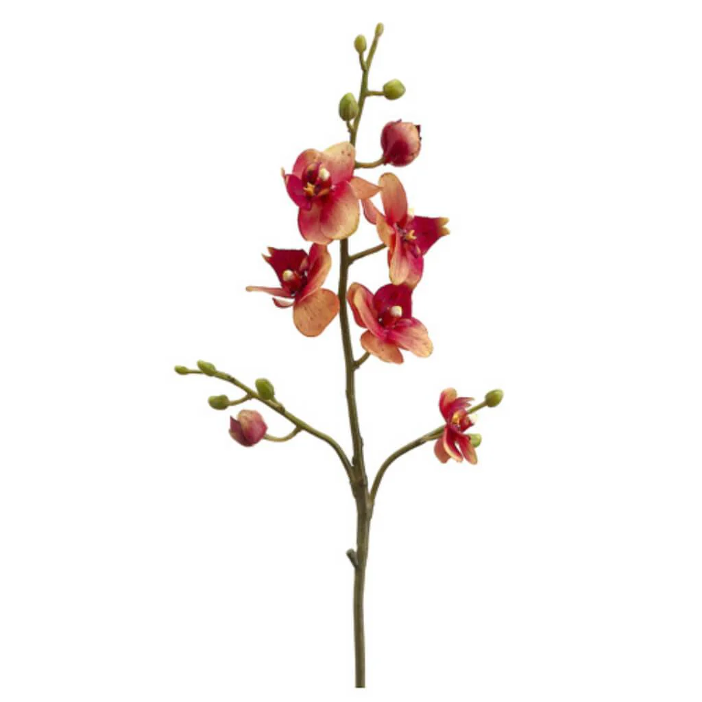 Phalaenopsis Spray 23in Coral Blush