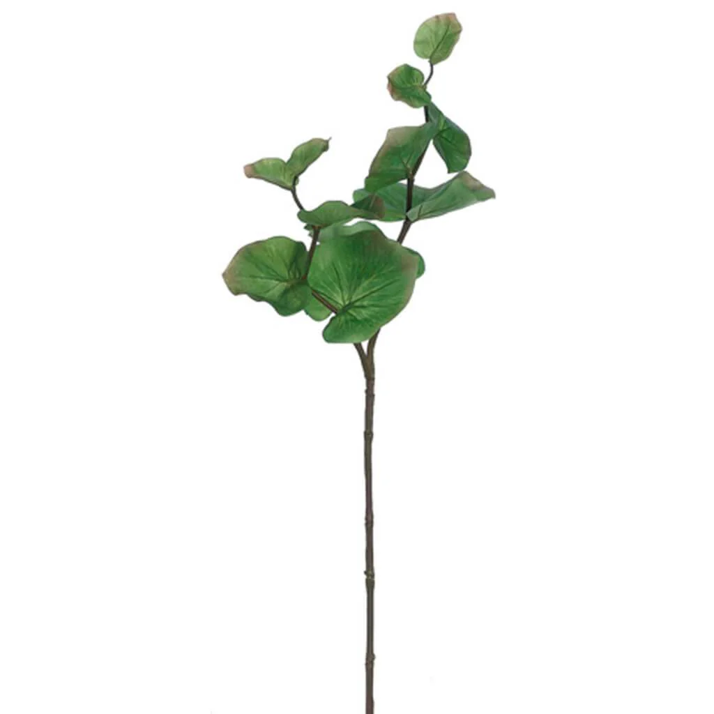 Sea Grape Leaf Spray 30in  Green
