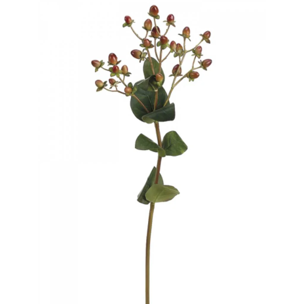 Hypericum Spray x3 with Leaves 24.5in  Burgundy Green
