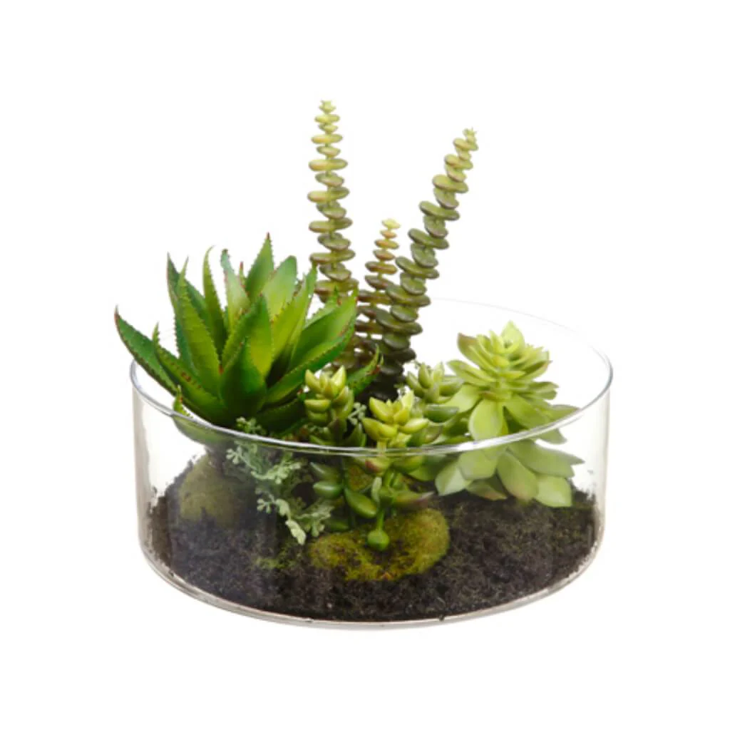 7in SUCCULENT GARDEN GREEN
