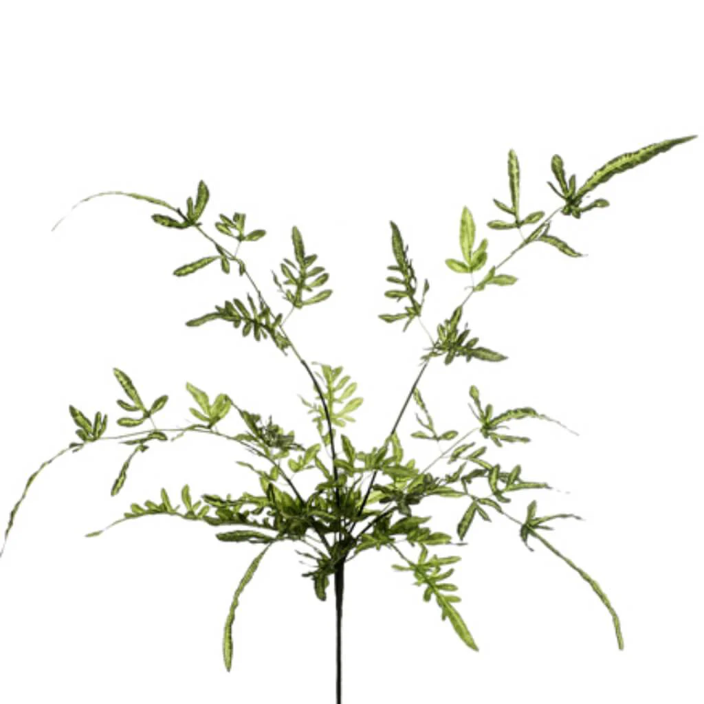 Lace Fern Plant Bush 21in Green