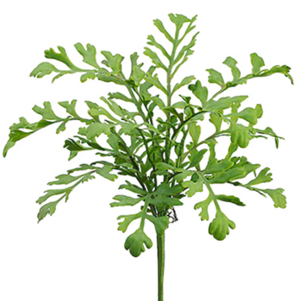 Miller Fern Bush 17in Green