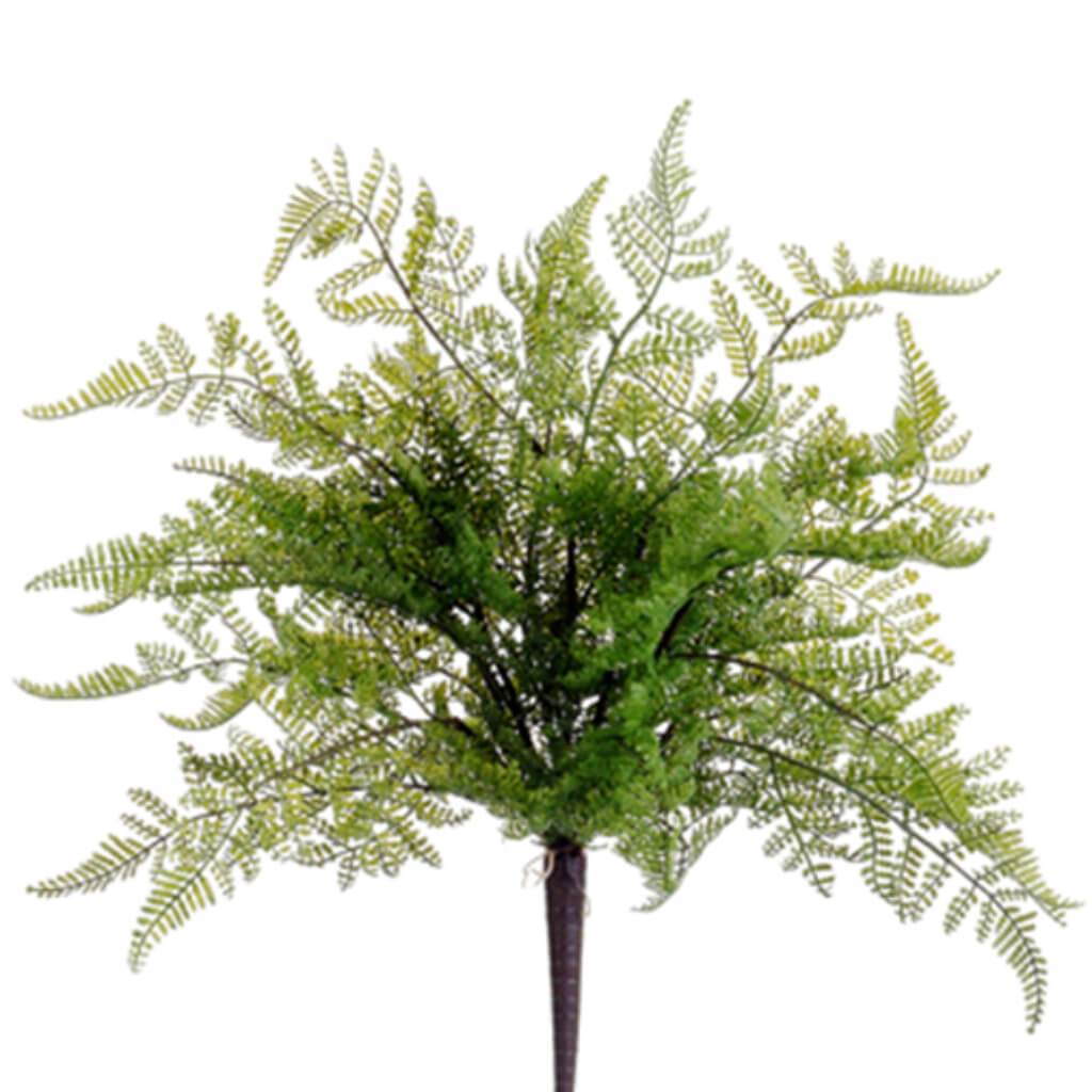 Lace Fern Bush 19.5in Green