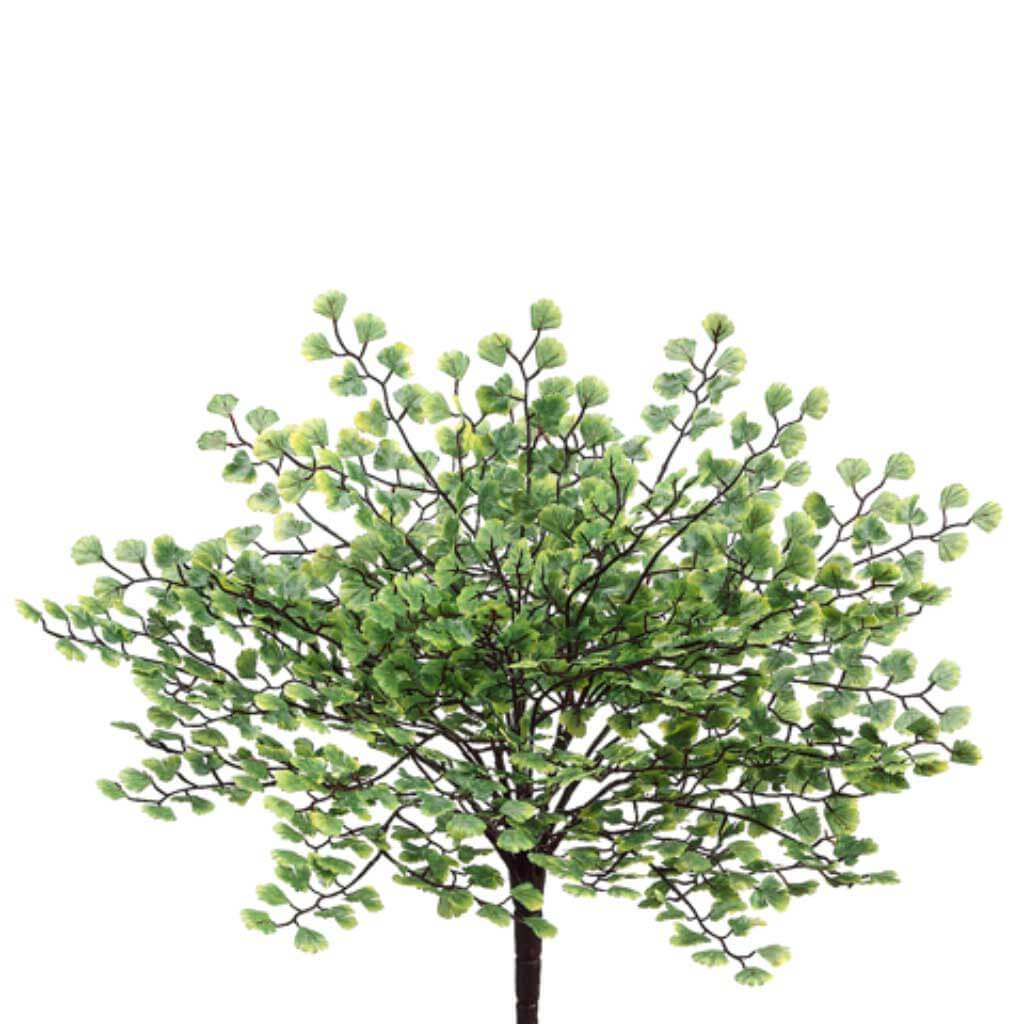 Maidenhair Fern 19in x12 840L Green
