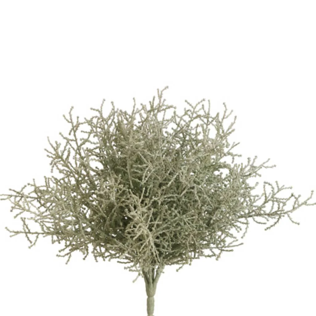 Spanish Moss Bush 10" Green Gray