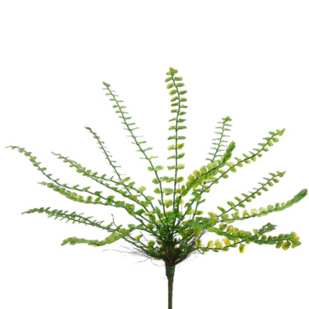 Button Fern Spray 13in Green