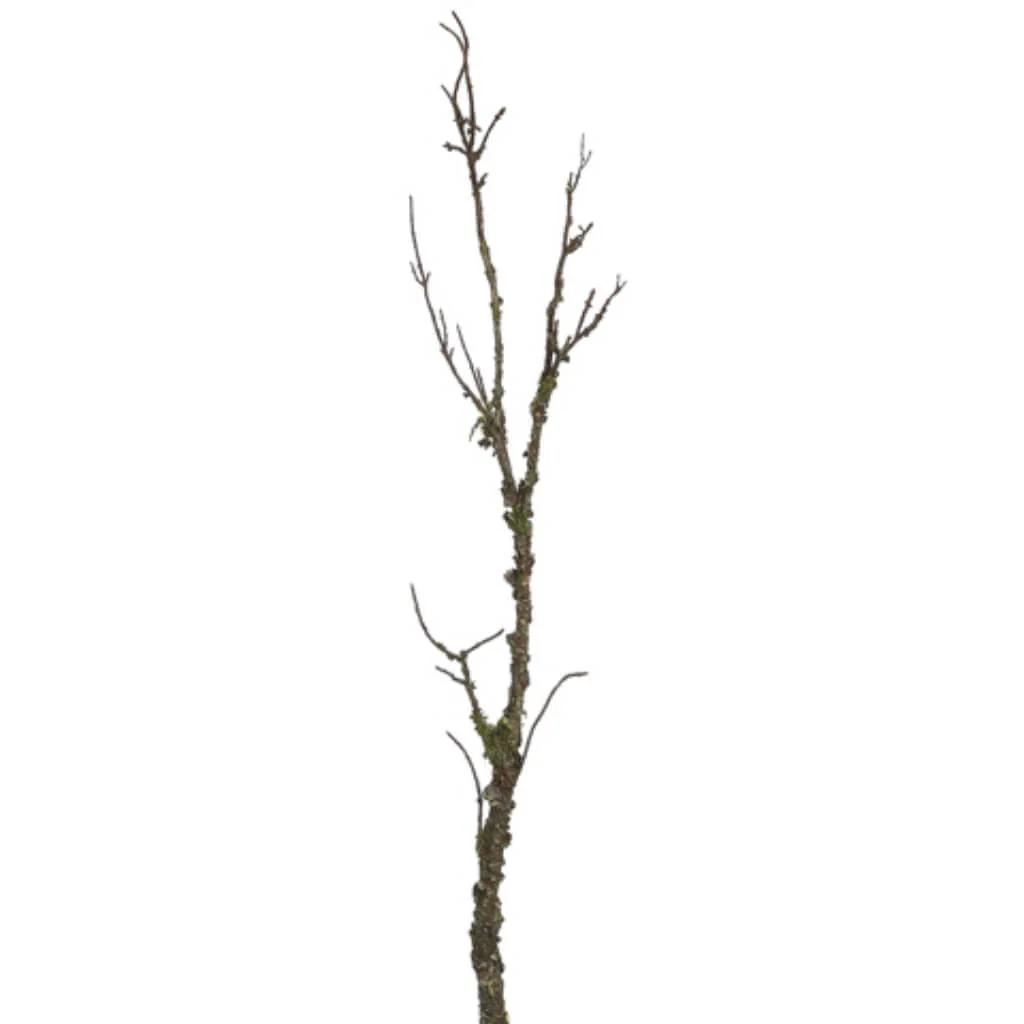 Mossy Branch 45in Green