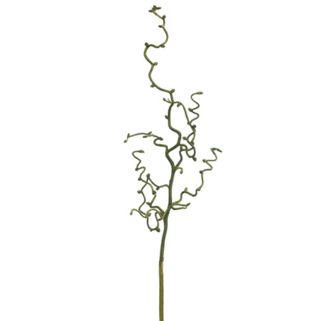 Curly Twig Branch 30in Green