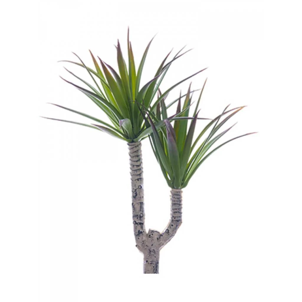 MINI DESERT YUCCA PICK 9.5in
